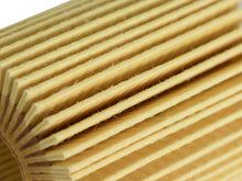 Load image into Gallery viewer, afe PROGUARD Oil Filter (4 Pack) - Various Lexus / Toyota Models