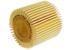 Load image into Gallery viewer, aFe PROGUARD Oil Filter (4 Pack) - Various Lexus / Lotus / Toyota Models 2007-2025