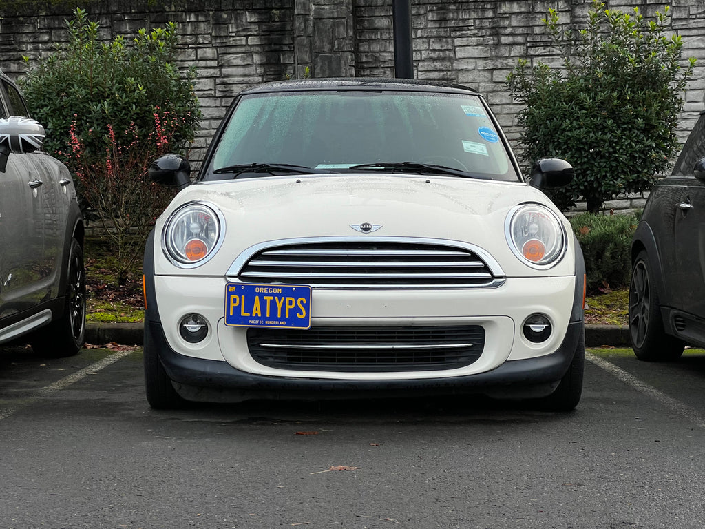 CravenSpeed Platypus License Plate Mount - MINI Models