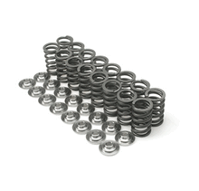 Load image into Gallery viewer, Brian Crower Spring + Steel Retainers - Subaru WRX / STI EJ205/EJ255/EJ257 2002-2021