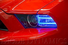 Diode Dynamics 13-14 Ford Mustang RGBW DRL LED Boards