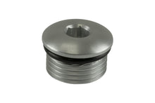 Load image into Gallery viewer, Turbosmart -10AN ORB Blank - Clear