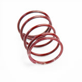 CTS TURBO High Performance Red Spring for DV/BOV