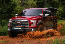 Load image into Gallery viewer, Diode Dynamics Stage Series C2 2.0 Pro Yellow Combo/Driving Backlit Ditch Light Kit - Ford F-150 2015-2020 Fitment