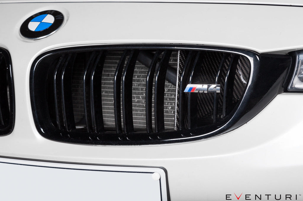 Eventuri Carbon Fiber Air Scoop Set - BMW M3/M4 (F8x) 2015-2020
