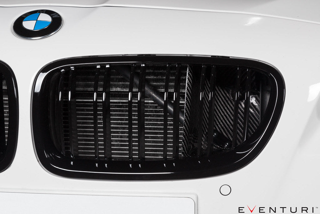Eventuri Carbon Fiber Intake System - BMW M5 (F10) 2013-2016