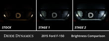 Load image into Gallery viewer, Diode Dynamics Stage 2 Interior LED Conversion Kit - Ford F-150 2015-2020