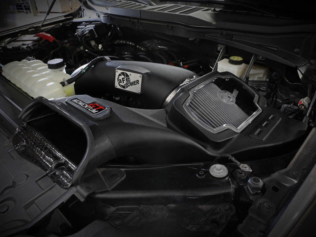 aFe Momentum GT Pro Dry S Cold Air Intake System - Ford F-150 5.0L 2021-2026