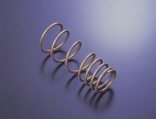 Load image into Gallery viewer, Tein 03-06 Evo non-MR H Tech Springs