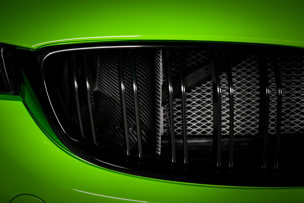 Eventuri Carbon Fiber Air Scoop Set - BMW M3/M4 (F8x) 2015-2020