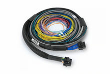 Load image into Gallery viewer, Haltech NEXUS S2 / S3 Universal Wire-In Harness Kit - 2.5M (8ft)