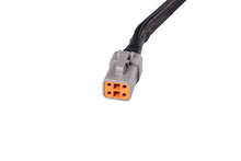 Load image into Gallery viewer, Diode Dynamics SS5 Ultra Heavy Duty CrossLink Terminating Splitter Harness (Single) - Universal Fitment