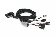 Load image into Gallery viewer, Haltech Nexus Universal Plug-in IO Expansion Harness (2.5m / 8ft)