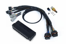 Load image into Gallery viewer, Haltech Honda OBD-I Nexus S2 / S3 Plug-n-Play Adapter Harness