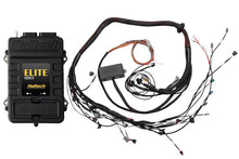 Load image into Gallery viewer, Haltech Elite 2500 Terminated Harness ECU Kit w/ EV1 Injector Connectors