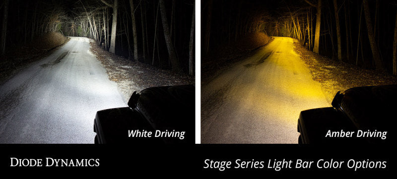 Diode Dynamics SS12 SAE/DOT White Driving LED Lightbar Kit - Ford Raptor 2017-2020
