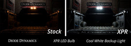 Diode Dynamics 921 XPR Cool White Backup/Cargo LED Bulbs (Single) - Universal Fitment