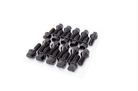 Aodhan LB55 Hex Lug Bolt Set - Various Thread Pitches; Universal