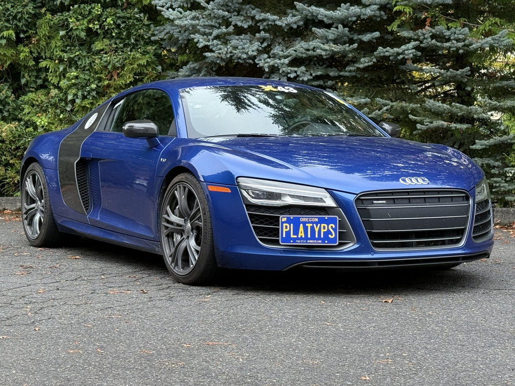 CravenSpeed Platypus License Plate Mount - Audi Models