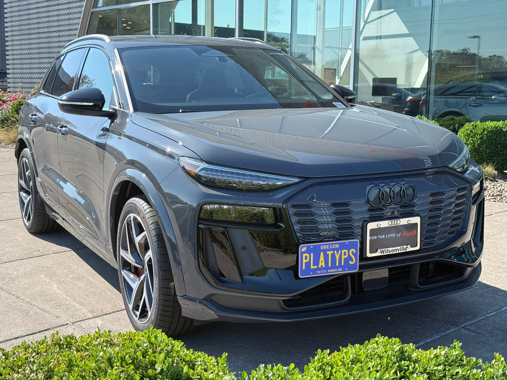 CravenSpeed Platypus License Plate Mount - Audi Models