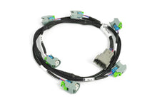 Load image into Gallery viewer, Haltech i6 GT150 (USCAR EV6) Primary Injector Harness