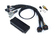 Load image into Gallery viewer, Haltech NEXUS S2/S3 Plug-n-Play Adapter Harness - Honda S2000 (AP1/AP2) 2000-2005