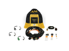 Load image into Gallery viewer, Haltech Universal Nexus Rebel JZ Main Terminated Engine Wiring Harness Only