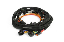 Load image into Gallery viewer, Haltech Universal Nexus Rebel JZ Main Terminated Engine Wiring Harness Only