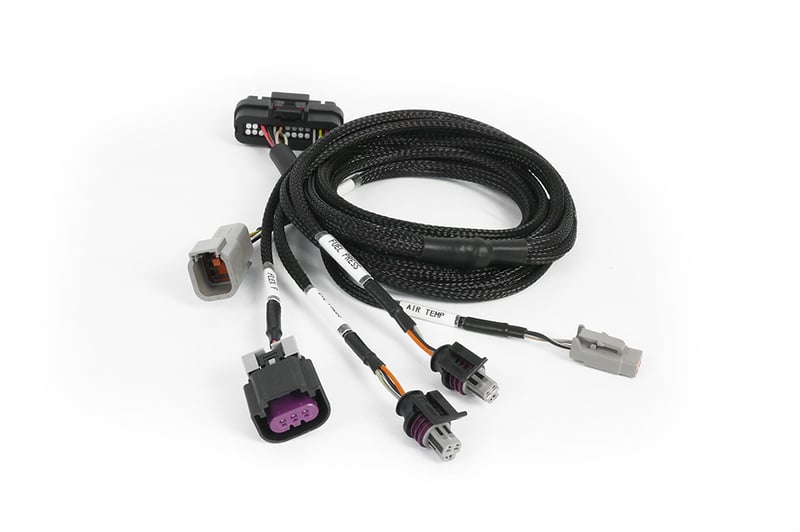 Haltech Nexus Universal Plug-in IO Expansion Harness (2.5m / 8ft)