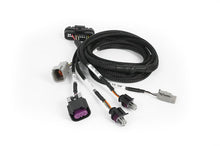 Load image into Gallery viewer, Haltech Nexus Universal Plug-in IO Expansion Harness (2.5m / 8ft)