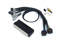 Load image into Gallery viewer, Haltech NEXUS S2 Plug-n-Play Adapter Harness - Acura RSX 2005-2006