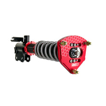 Load image into Gallery viewer, IAG Spec Street Series Coilovers by Fortune Auto - Subaru WRX 2022-2025