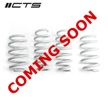 Load image into Gallery viewer, CTS Turbo Tesla Model Y Long Range Lowering Springs
