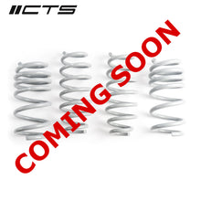 Load image into Gallery viewer, CTS Turbo Tesla Model 3 Performance AWD Lowering Springs