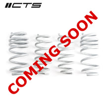 Load image into Gallery viewer, CTS Turbo Tesla Model 3 Standard Range/Standard Range Plus Lowering Springs