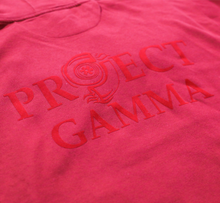 Load image into Gallery viewer, Project Gamma Pull-Over Hoodie