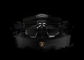 Purchase Lamborghini Urus Carbon Fiber Intakes American