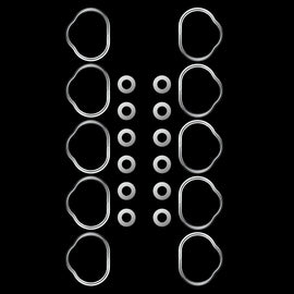 Buy Lamborghini Huracan & Audi R8 Intake Manifold Sealer Rings