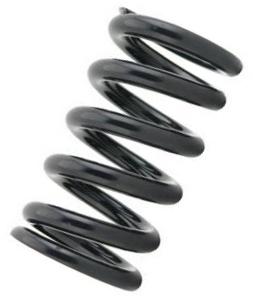 Tein Coilover Spring (Two Springs)