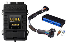 Load image into Gallery viewer, Haltech Elite 2500 Adaptor Harness ECU Kit