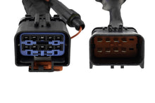 Load image into Gallery viewer, Diode Dynamics Stage Series C1R/C2R 10-Pin Single-Output Trailer Wiring Harness - Universal