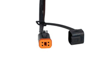Load image into Gallery viewer, Diode Dynamics Stage Series C1R/C2R 10-Pin Single-Output Trailer Wiring Harness - Universal
