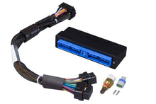 Load image into Gallery viewer, Haltech Nissan Patrol/Safari Y60 (TB42E Only) Elite 2000/2500 Plug-n-Play Adaptor Harness