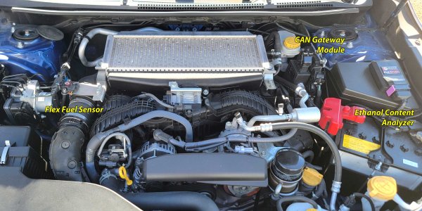Delicious Tuning CAN Enabled Flex Fuel Kit - Subaru WRX (VB) 2022+