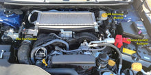 Load image into Gallery viewer, Delicious Tuning CAN Enabled Flex Fuel Kit - Subaru WRX (VB) 2022+