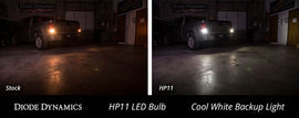 Diode Dynamics 7440/7443 HP11 Cool White Backup LED Bulbs (Single) - Scion xB 2004-2006 & 2008-2010