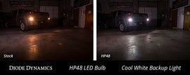 Diode Dynamics 7440/7443 HP48 Cool White Backup LED Bulbs (Single) - Scion xB 2004-2006 & 2008-2010