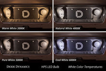 Load image into Gallery viewer, Diode Dynamics HP5 Pure White License Plate LEDs (Pair) - Multiple Fitments