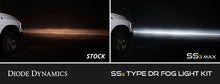 Load image into Gallery viewer, Diode Dynamics SS3 Dual-Color Wide SAE Type DR Fog Light Kit - Multiple Dodge Fitments
