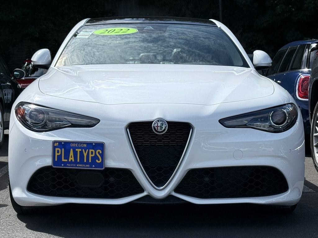 CravenSpeed Platypus License Plate Mount - Alfa Romeo Models